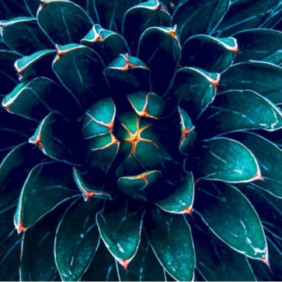 Meet your Posher, Mallory - Picture 1 of 1